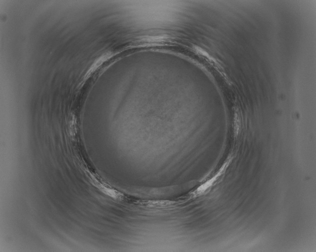 X0000068741449200605051439