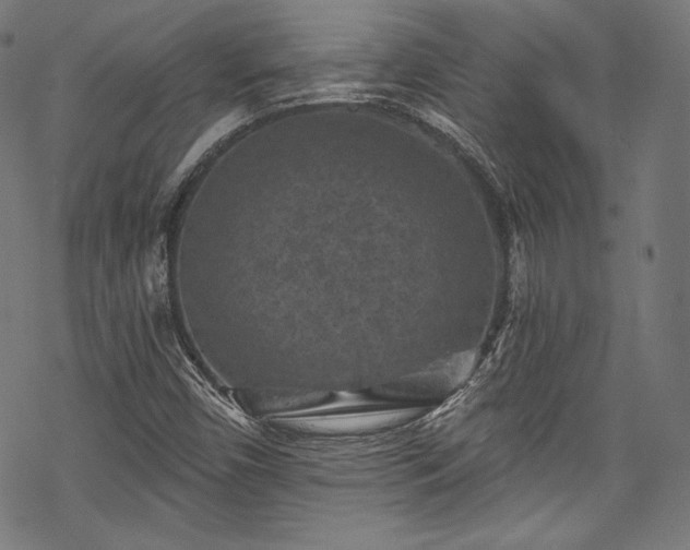 X0000068741450200605051439