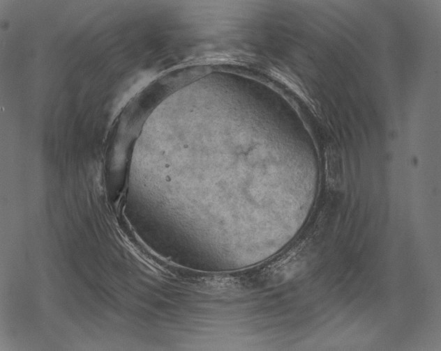 X0000068741452200605051439