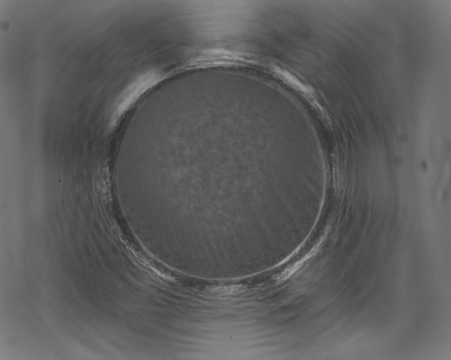 X0000068741453200605051439