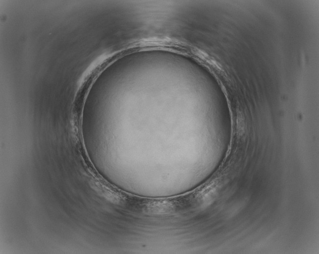 X0000068741454200605051439