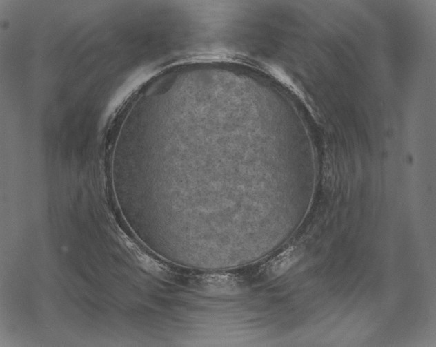 X0000068741456200605051439