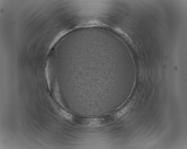 X0000068741457200605051439