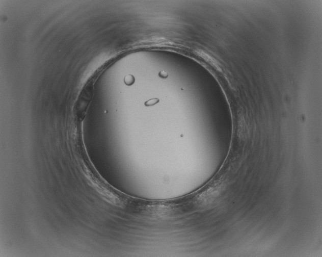 X0000068741458200605051439