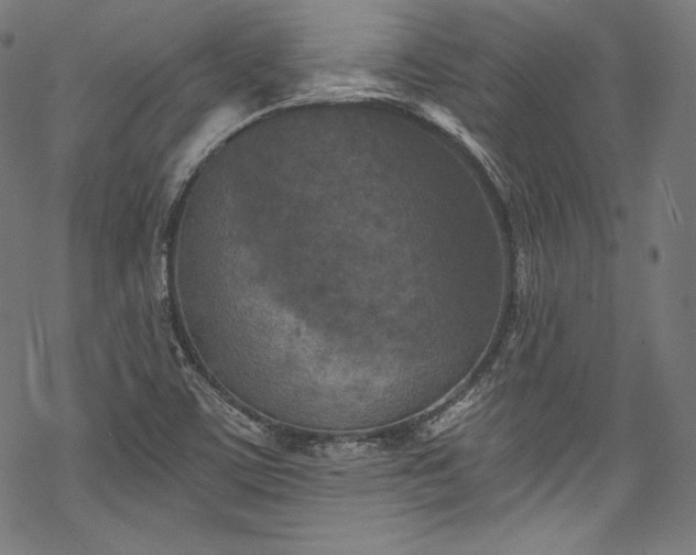 X0000068741459200605051439