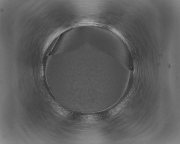 X0000068741461200605051439