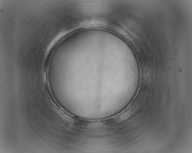 X0000068741462200605051439