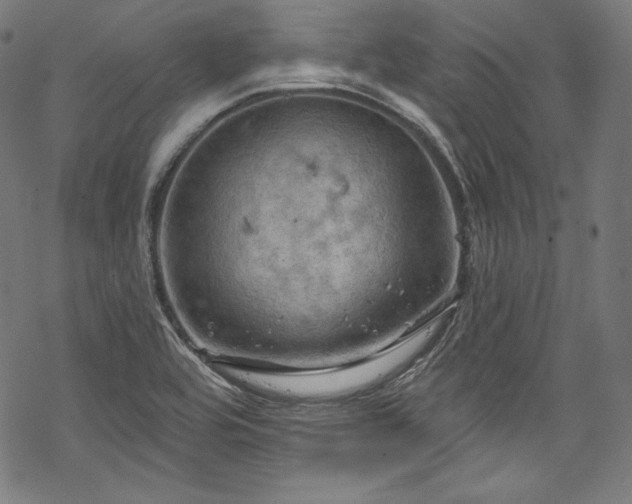 X0000068741464200605051438