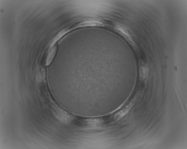 X0000068741465200605051438