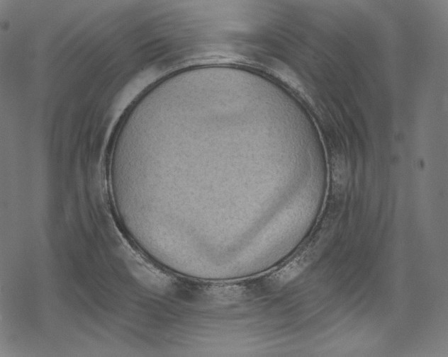 X0000068741466200605051438