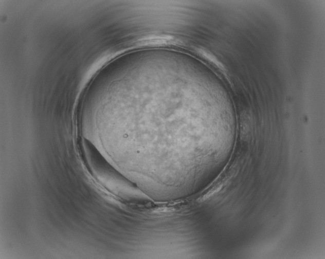 X0000068741467200605051438