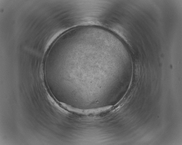 X0000068741468200605051438