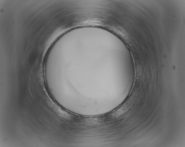 X0000068741470200605051438