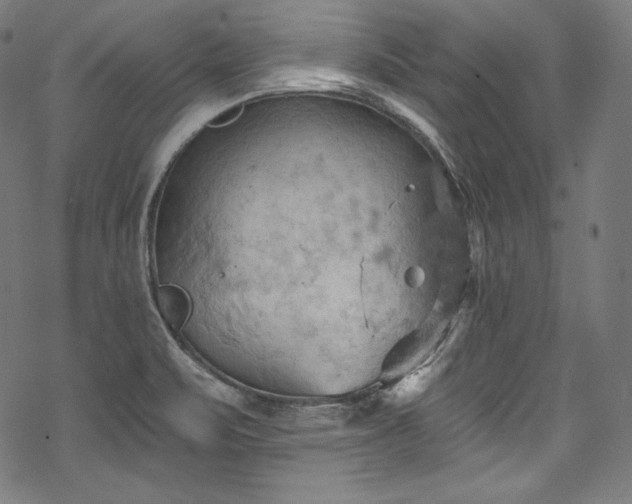 X0000068741471200605051438