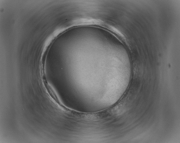 X0000068741472200605051438