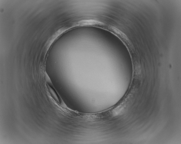 X0000068741473200605051438