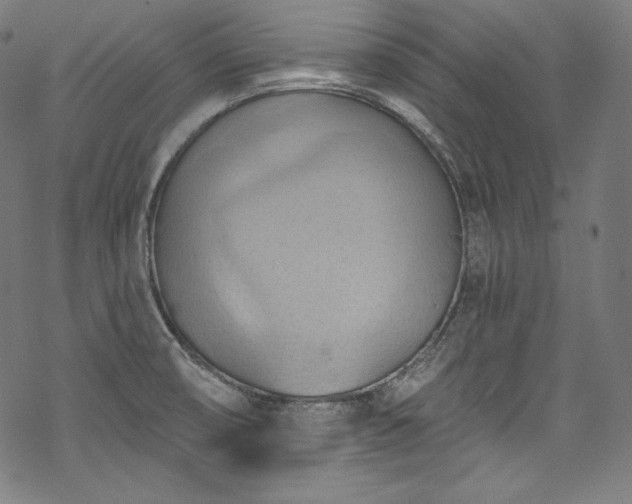 X0000068741474200605051438