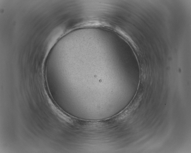 X0000068741475200605051438