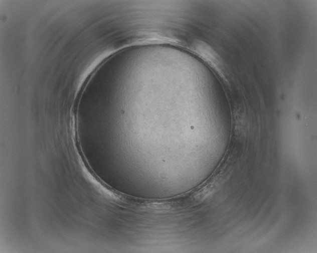 X0000068741476200605051438