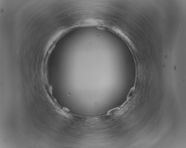 X0000068741477200605051438