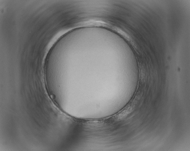 X0000068741478200605051438