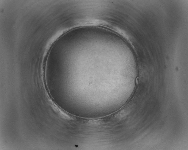 X0000068741480200605051438