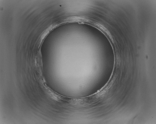 X0000068741481200605051438