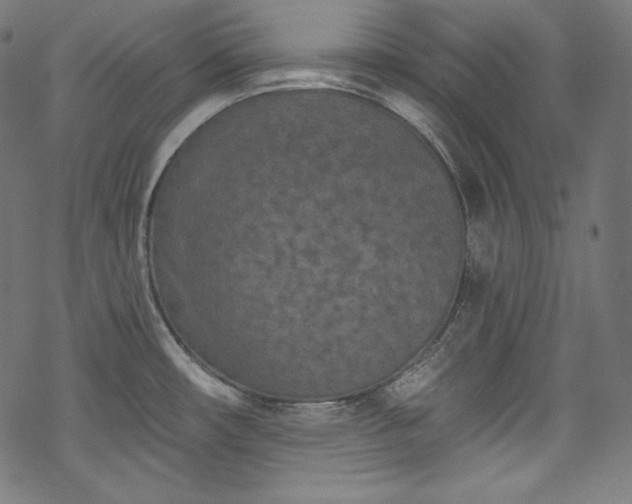 X0000068741482200605051438