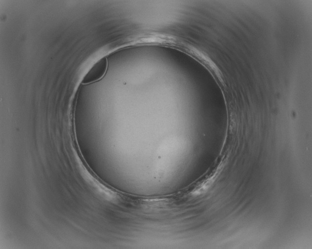 X0000068741483200605051438