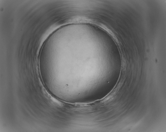 X0000068741486200605051438