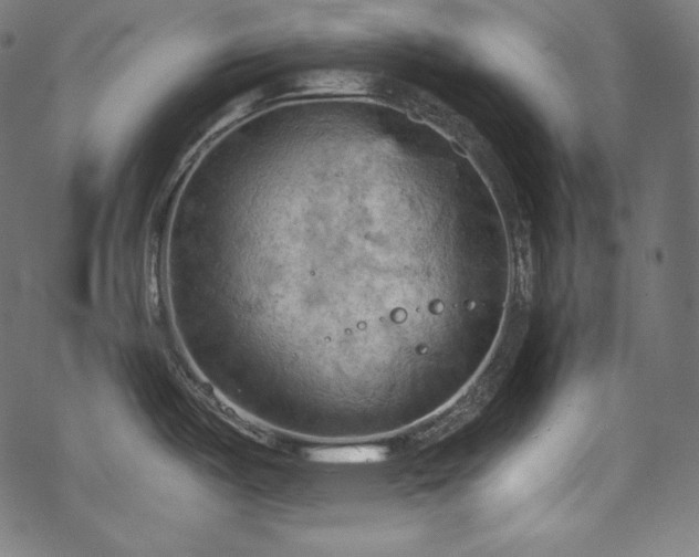 X0000068741487200605051438