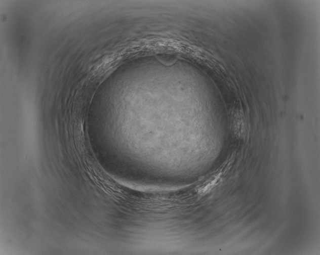 X0000068741489200605051437