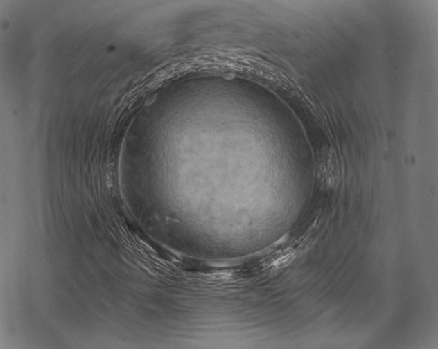 X0000068741490200605051437