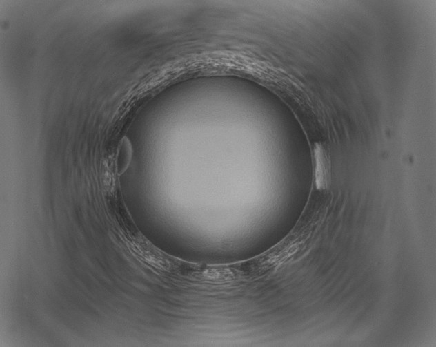 X0000068741491200605051437