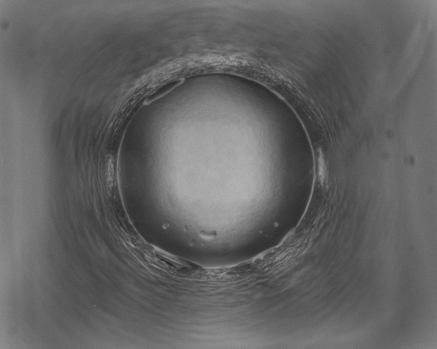 X0000068741492200605051437