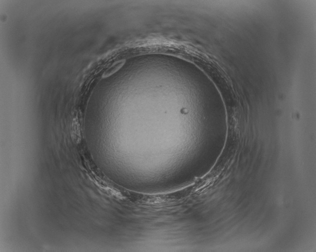 X0000068741493200605051437