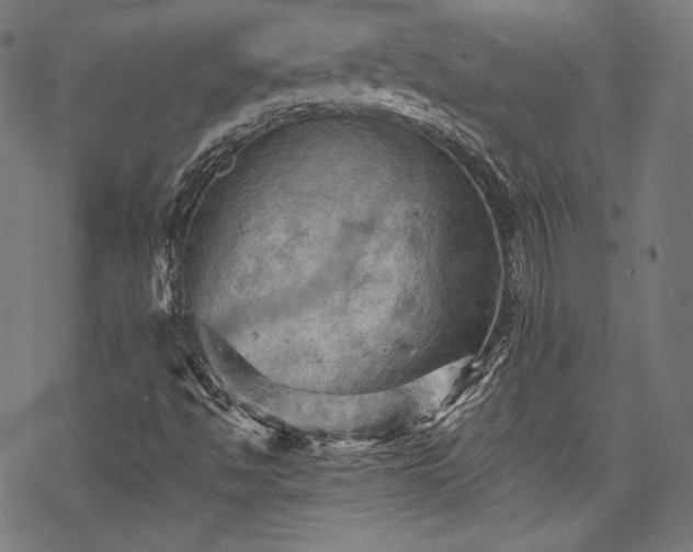 X0000068741494200605051437