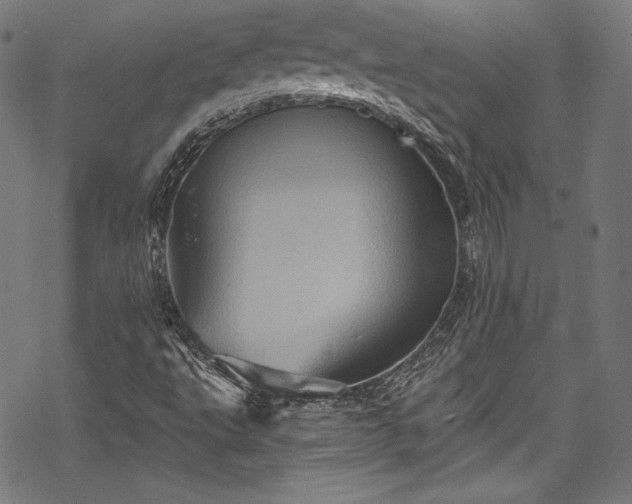 X0000068741495200605051437