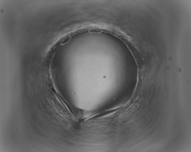 X0000068741496200605051437