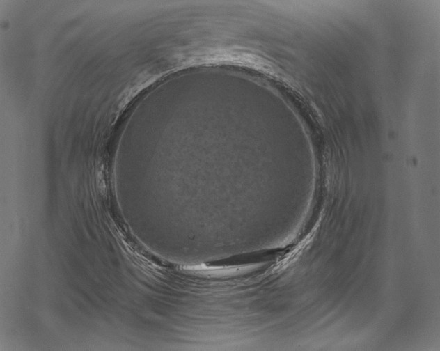 X0000068741497200605051437