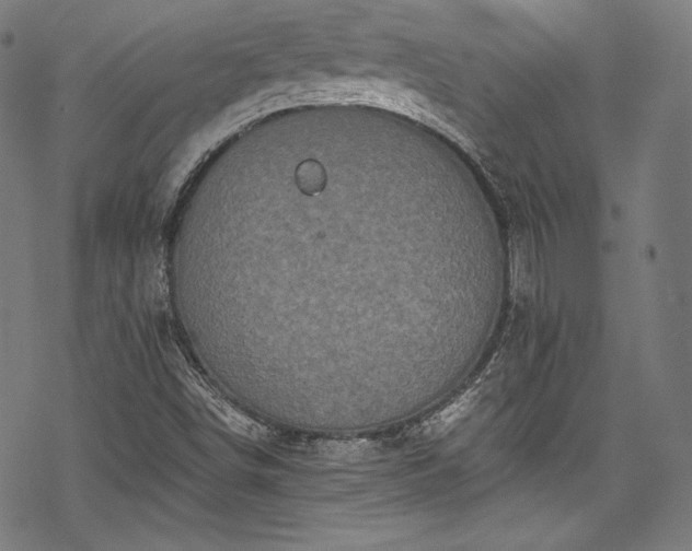 X0000068741498200605051437