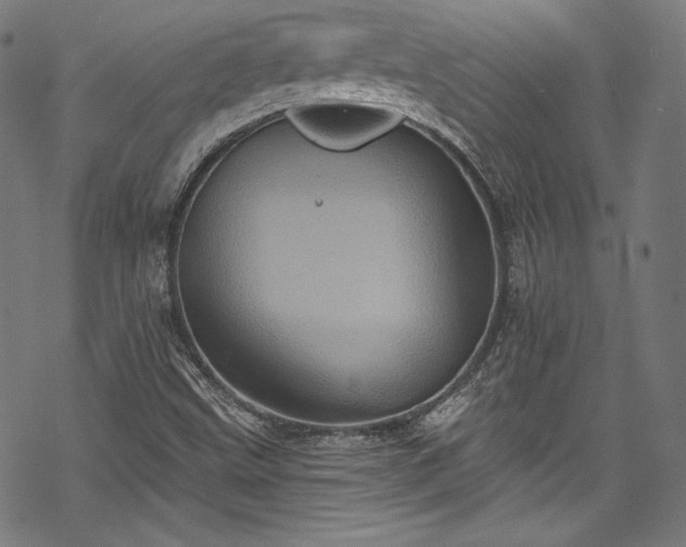 X0000068741499200605051437