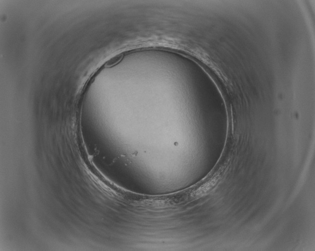 X0000068741500200605051438