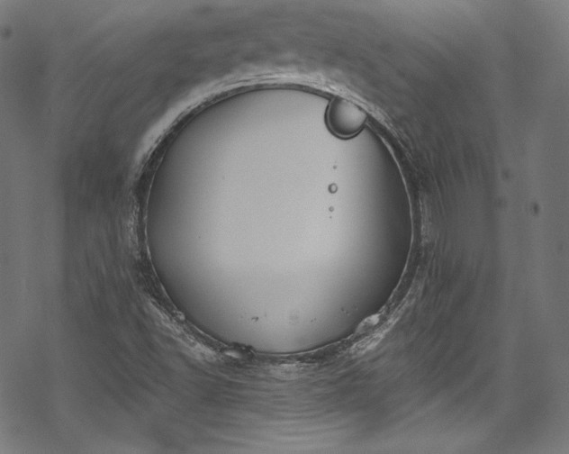 X0000068741502200605051438