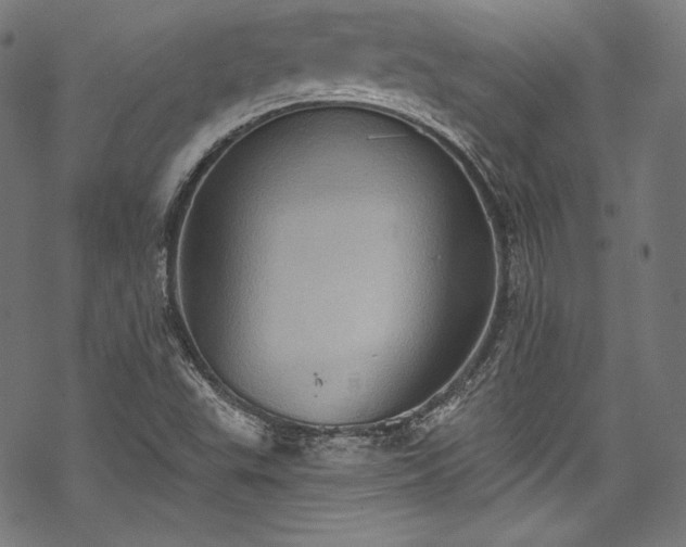 X0000068741503200605051438