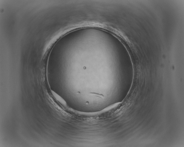 X0000068741504200605051438