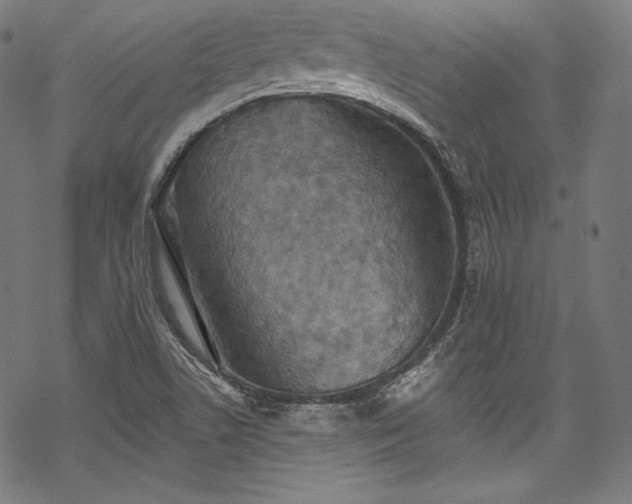 X0000068741506200605051438