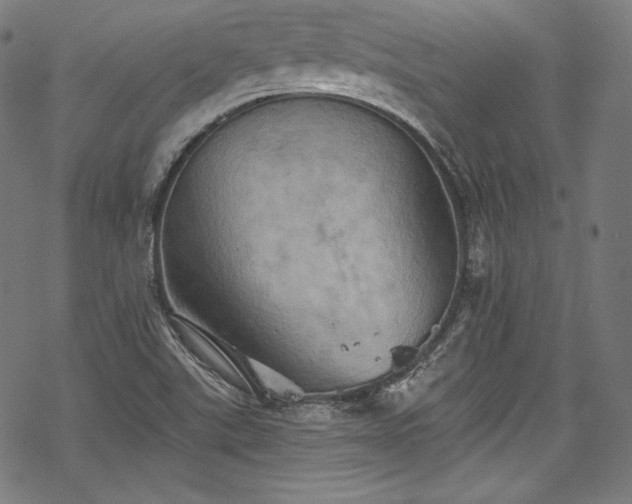 X0000068741507200605051438