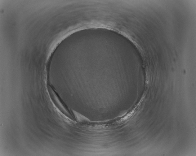 X0000068741508200605051438