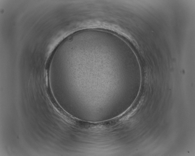 X0000068741509200605051438